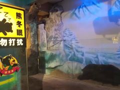 -东方熊牧场