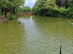 -泰安地下龙宫景区