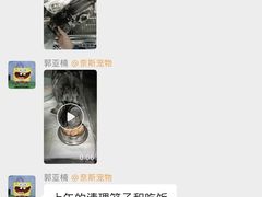 -奈斯宠物医院·核磁CT·异宠专科·内镜(中南店)
