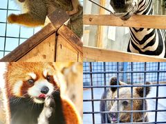 -水上乐园·欢乐世界