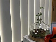 -齐玉齿科JADENTAL