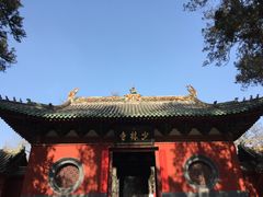 -少林寺欢喜地素斋馆