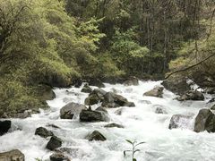 -叠溪松坪沟景区