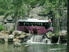 -北京野生动物园