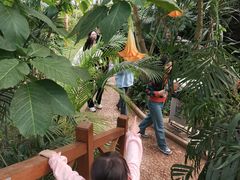 -石家庄市植物园