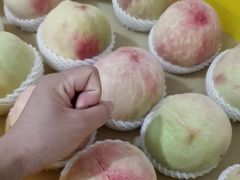 -老袁家蜜桃农场·阳山水蜜桃