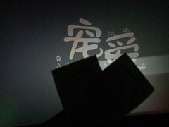 -百美汇影城(LUXE嘉里中心店)