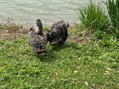 -昆山城市生态森林公园