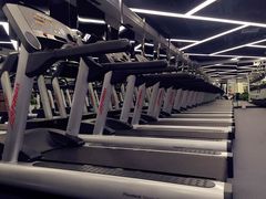 -金吉鸟健身游泳