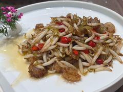 -丁老爷子苏香圆