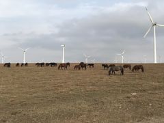 -塞罕坝国家级自然保护区