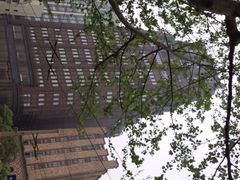 iphone_upload_pic-上海国际饭店