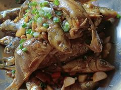 -黄山老妈·土菜(碧桂园店)