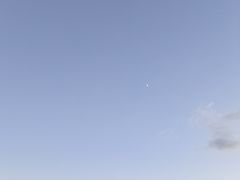 -大湾区中央湿地公园-十九涌