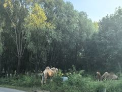 -北京欢乐谷