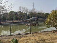 -上海海湾国家森林公园