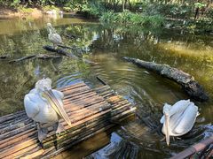 -济南野生动物世界