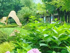 -望江楼公园