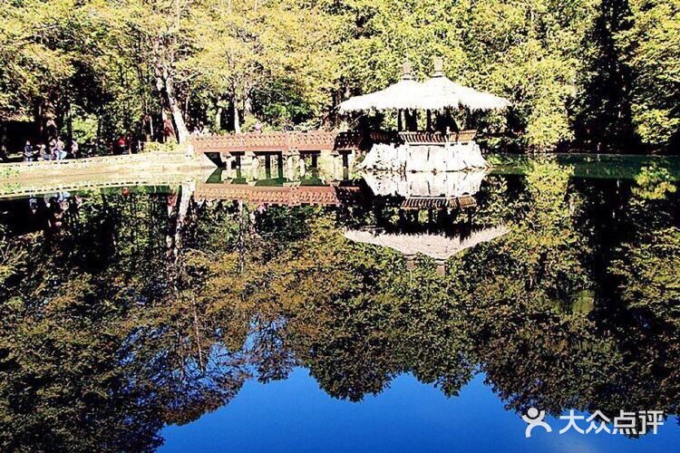 在枯树中再生新树为第三代