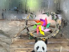 -海南热带野生动植物园