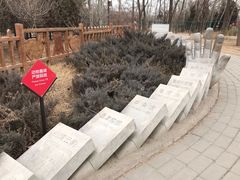 -北京麋鹿生态实验中心
