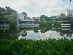 -荔湾湖公园