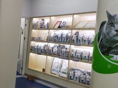 -佩兹宠物医院肿瘤专科·眼科·牙科(黄浦店)