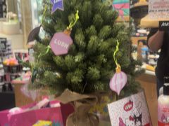 -LUSH(威尼斯人店)