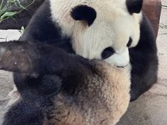 -宁波野生动物园