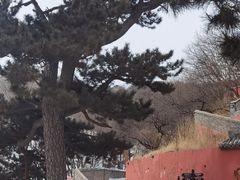 -妙峰山风景名胜区