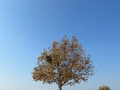 -钟山体育运动公园