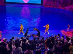 -芜湖新华联大白鲸海洋公园