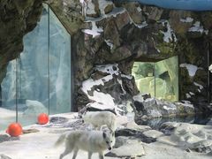 -珠海长隆海洋王国