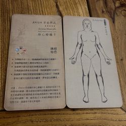 -芳香乐府疗愈空间·SPA·冥想