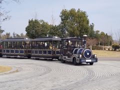 -漩门湾国家湿地公园