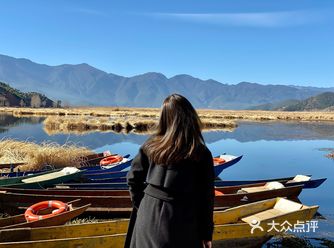 不由得想起一首歌“像一颗海草海草海草海草”