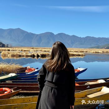 不由得想起一首歌“像一颗海草海草海草海草”