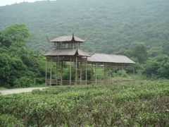 -龙寺生态园