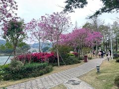 -顺峰山公园