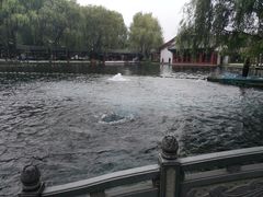 -百脉泉景区