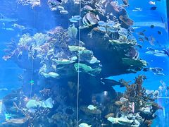 -多彩贵州城极地海洋世界