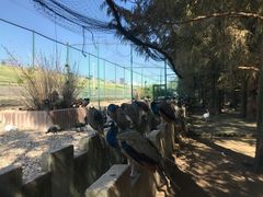 -南京金牛湖风景区