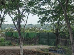 -东山风景区(洞庭东山)