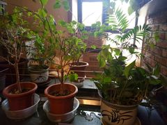 -胡记真不同饭店(临河街店)