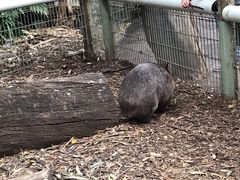 -费瑟代尔野生动物园