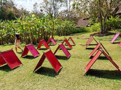 -大象粑粑造纸公园