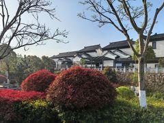 -句容茅山景区