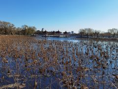 -长春市南湖公园