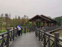 -海珠湖公园