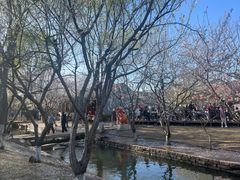 -春风习习